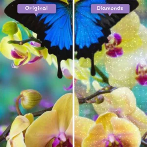 diamanter-trollkarl-diamant-målningssatser-natur-fjäril-den-blå-fjärilen-på-orkidéen-före-efter-webp