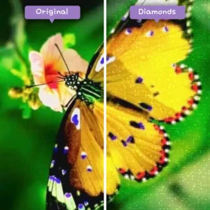 Diamonds-Wizard-Diamant-Malerei-Sets-Natur-Schmetterling-der-bunte-Schmetterling-vorher-nachher-webp