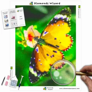 diamanten-wizard-diamant-schilderkits-natuur-vlinder-de-kleurrijke-vlinder-canva-webp