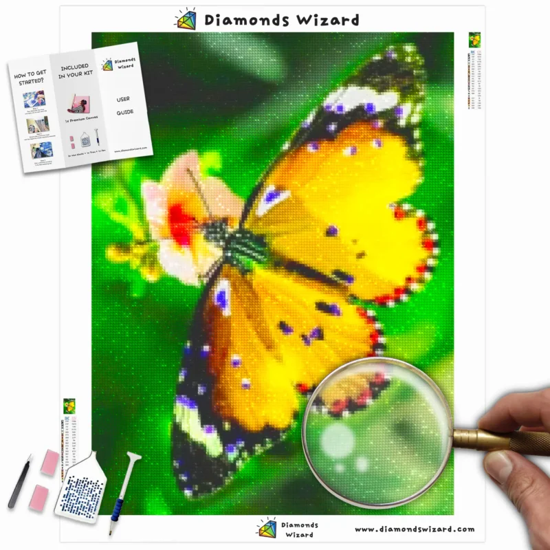 Diamantveiviserdiamantmalesettnatursmørflytdenfargerike sommerfuglens lerretsnettp