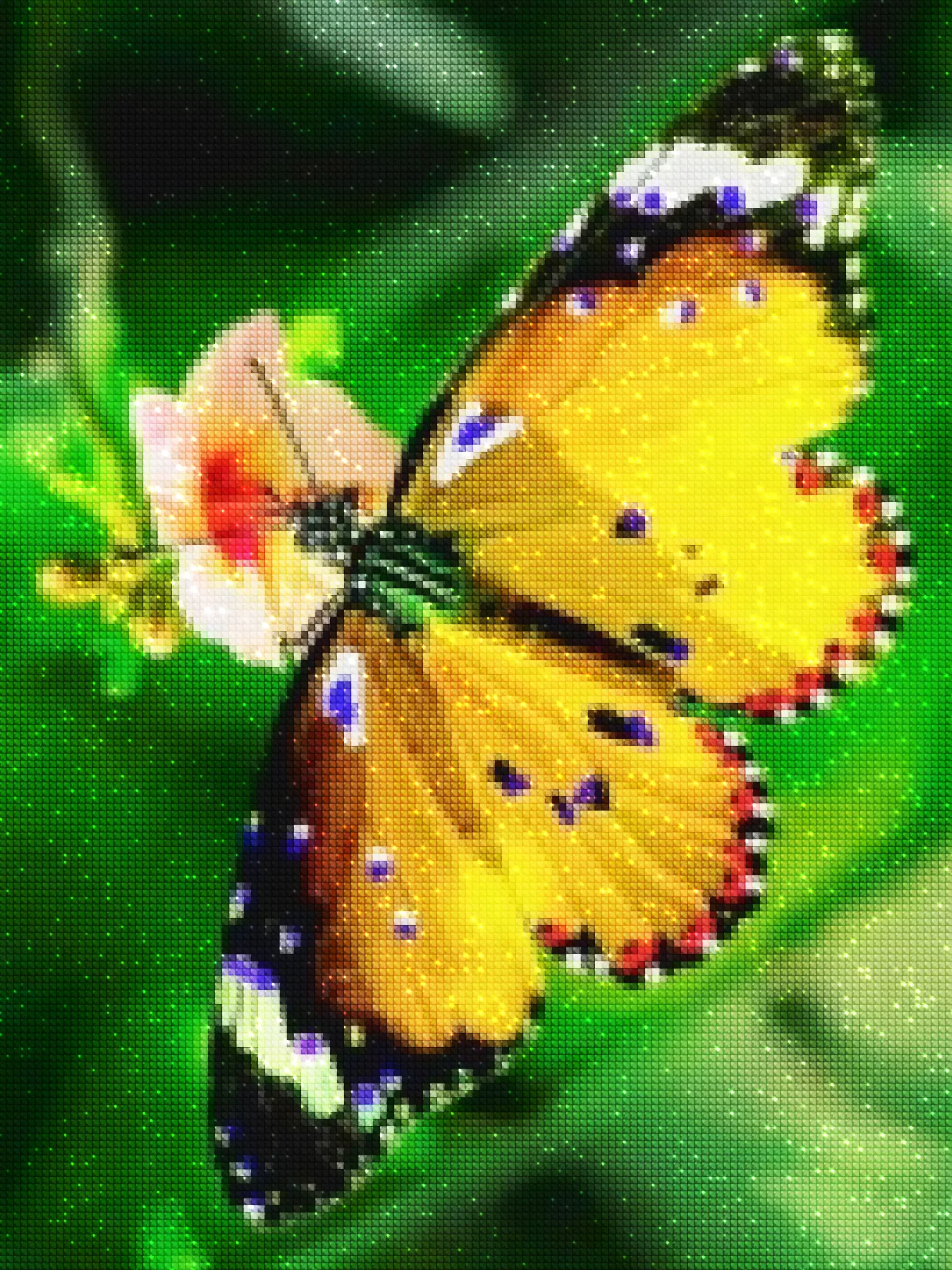 diamanter-veiviser-diamant-malesett-Natur-sommerfugl-Den fargerike sommerfuglen-diamonds.webp