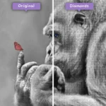 diamonds-wizard-diamond-painting-kits-nature-butterfly-thoughtful-gorilla-before-after-webp