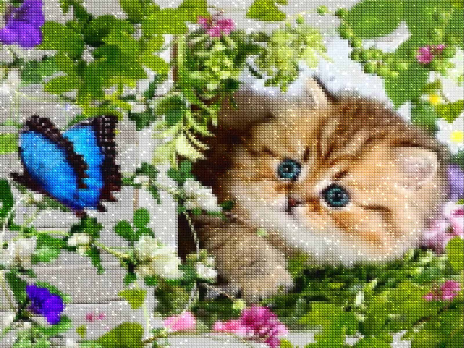 diamanten-wizard-diamond-painting-kits-Animals-Butterfly-Floral-Kitten-diamonds.jpg