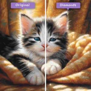 Diamonds-Wizard-Diamond-Painting-Kits-Animals-Cat-cozy-nap-in-sunbeam-before-after-jpg