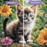 diamants-wizard-diamond-painting-kits-animaux-chat-curieux-chaton-exploration-avant-après-jpg