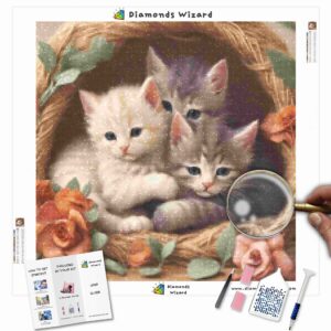 Diamonds-Wizard-Diamond-Painting-Kits-Animals-Cat-Kitten-Cuddles-Canva-jpg