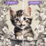 diamants-wizard-diamond-painting-kits-animaux-chat-peek-a-boo-kitty-avant-après-jpg