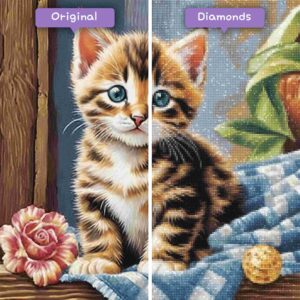 Diamonds-Wizard-Diamond-Painting-Kits-Animals-Cat-Precious-Tabby-Kitten-Before-After-JPG