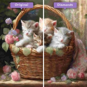Diamanttrollkarldiamantmålningssatser djurkatter som sover kattungar i en korg föreafterjpg