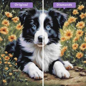Diamonds-Wizard-Diamond-Painting-Kits-Animals-Dog-Border-Collie-Beauty-before-after-jpg