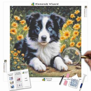 Diamonds-Wizard-Diamond-Painting-Kits-Animals-Dog-Border-Collie-Beauty-Canva-jpg