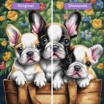 diamonds-wizard-diamond-painting-kits-tiere-hund-französische-bulldogge-frenzy-vorher-nachher-jpg