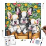 Diamonds-Wizard-Diamant-Malsets-Tiere-Hund-Französische-Bulldogge-Frenzy-Canva-jpg