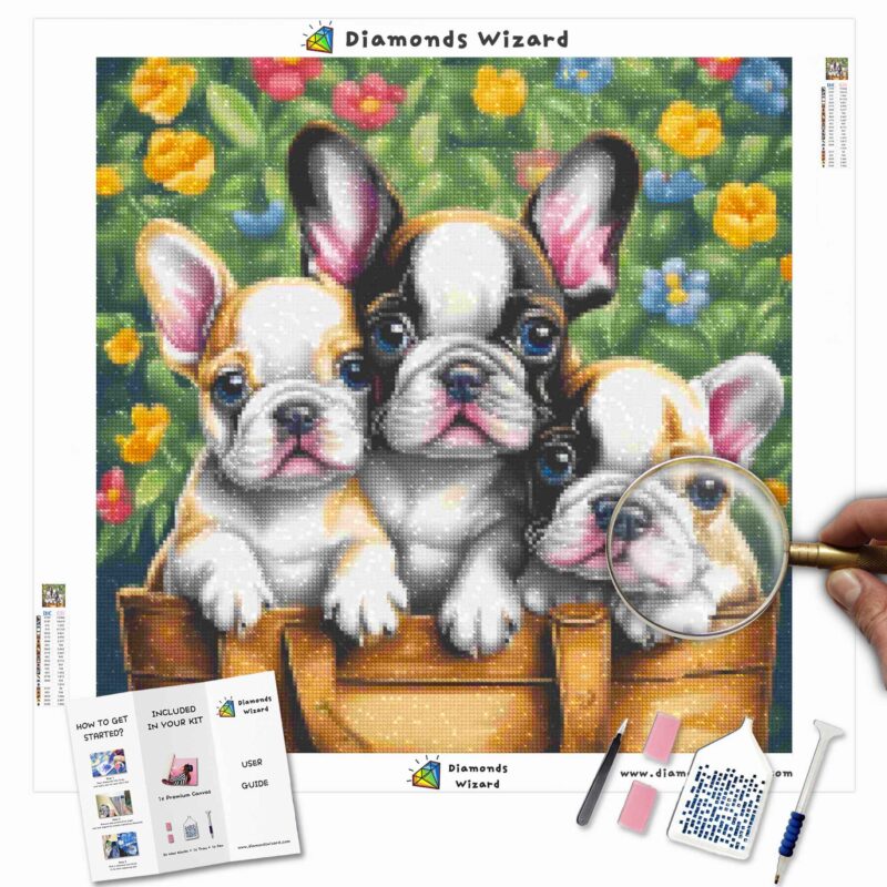 Diamantesmagodiamantekits de pinturaanimalesperrobulldogfrancésfrenesícanvajpg