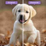 diamenty-czarodziej-zestawy-do-diamentowego-malowania-zwierzęta-pies-labrador-retrievery-na-zabawie-przed-po-jpg