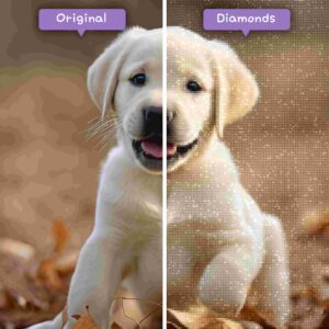 diamonds-wizard-diamond-painting-kits-animals-dog-labrador-retrievers-at-play-before-after-jpg