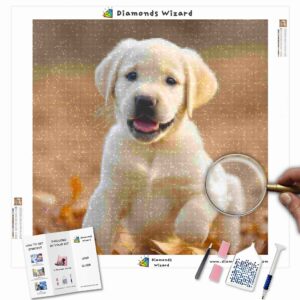 diamonds-wizard-diamond-painting-kits-animals-dog-labrador-retrievers-at-play-canva-jpg
