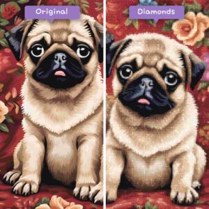 Diamonds-Wizard-Diamond-Painting-Kits-Animals-Dog-Pug-Life-Before-After-JPG