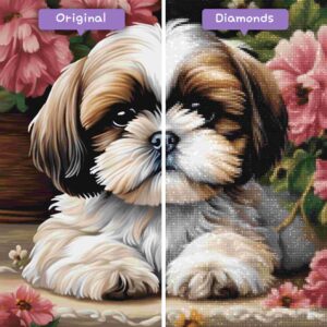 Diamonds-Wizard-Diamond-Painting-Kits-Animals-Dog-Shih-Tzu-Sweetness-Before-After-JPG