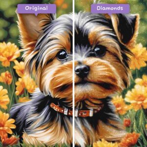 Diamonds-Wizard-Diamond-Painting-Kits-Animals-Dog-Yorkshire-Terrier-Elegance-before-after-jpg