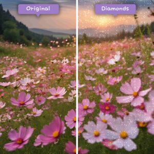 diamonds-wizard-diamond-painting-kits-nature-flower-cosmos-carnival-before-after-jpg
