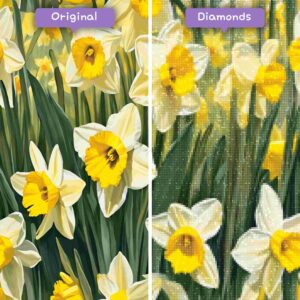 diamonds-wizard-diamond-painting-kits-nature-flower-daffodil-delight-before-after-jpg