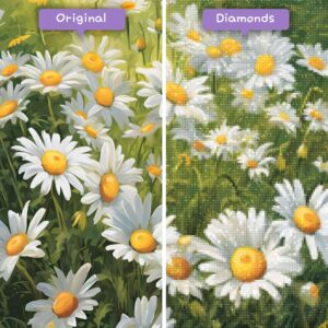 diamanter-trollkarl-diamant-målningssatser-natur-blomma-bländande-daisy-delight-before-after-jpg