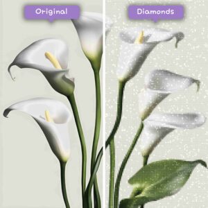 diamanter-troldmand-diamant-maleri-sæt-natur-blomst-elegant-calla-lilje-elegance-før-efter-jpg