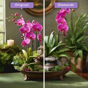 diamonds-wizard-diamond-painting-kits-nature-flower-enchanting-orchid-oasis-before-after-jpg