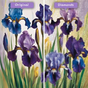 diamants-wizard-diamond-painting-kits-nature-fleur-iris-symphonie-avant-après-jpg