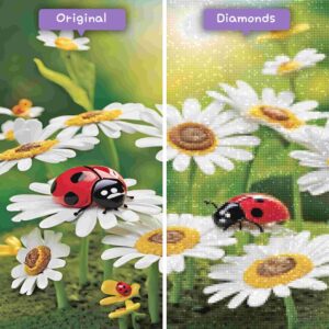 Diamonds-Wizard-Diamant-Malsets-Natur-Blumen-Marienkäfer-und-Gänseblümchen-Vorher-Nachher-JPG