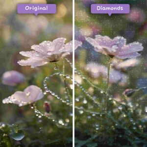 Diamonds-Wizard-Diamond-Painting-Kits-nature-flower-morning-dew-on-petals-before-after-jpg