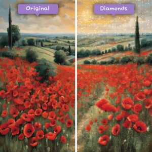 diamanter-trollkarl-diamant-målningssatser-natur-blomma-vallmofält-passion-före-efter-jpg