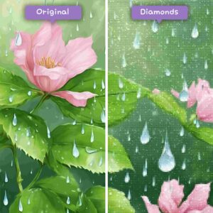 Diamonds-Wizard-Diamond-Painting-Kits-nature-flower-rainy-day-reflections-before-after-jpg