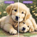 diamonds-wizard-diamond-painting-kits-tiere-hund-golden-retriever-bliss-vorher-nachher-jpg