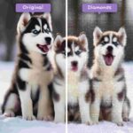 diamantes-mago-kits-de-pintura-de-diamantes-animales-perro-cachorros-husky-aullando-antes-después-jpg