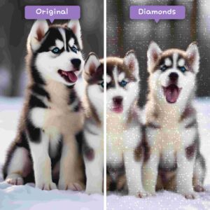 diamonds-wizard-diamond-painting-kits-animals-dog-husky-puppies-howling-before-after-jpg