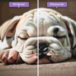 diamonds-wizard-diamond-painting-kits-animals-dog-sleepy-bulldog-before-after-jpg