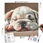 diamanti-mago-kit-pittura-diamante-animali-cane-bulldog-assonnato-canva-jpg