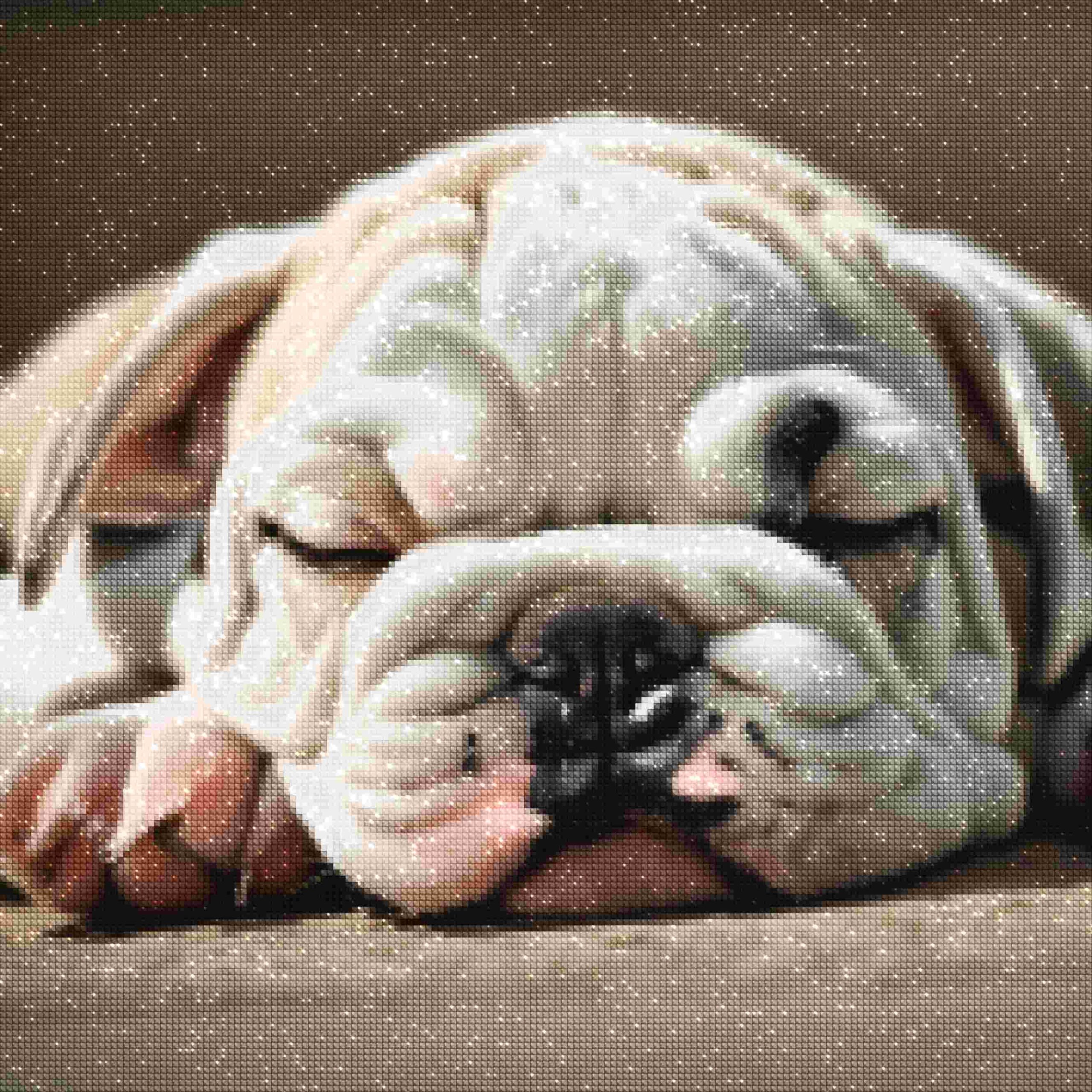 diamantes-mago-kits-de-pintura-de-diamantes-Animales-Perro-Sleepy-Bulldog-diamonds.jpg