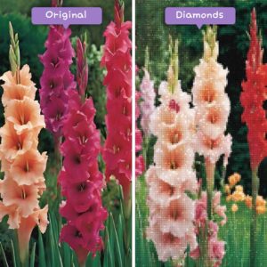 diamanter-trollkarl-diamant-målningssatser-natur-blomma-härliga-gladiolus-härlighet-före-efter-jpg