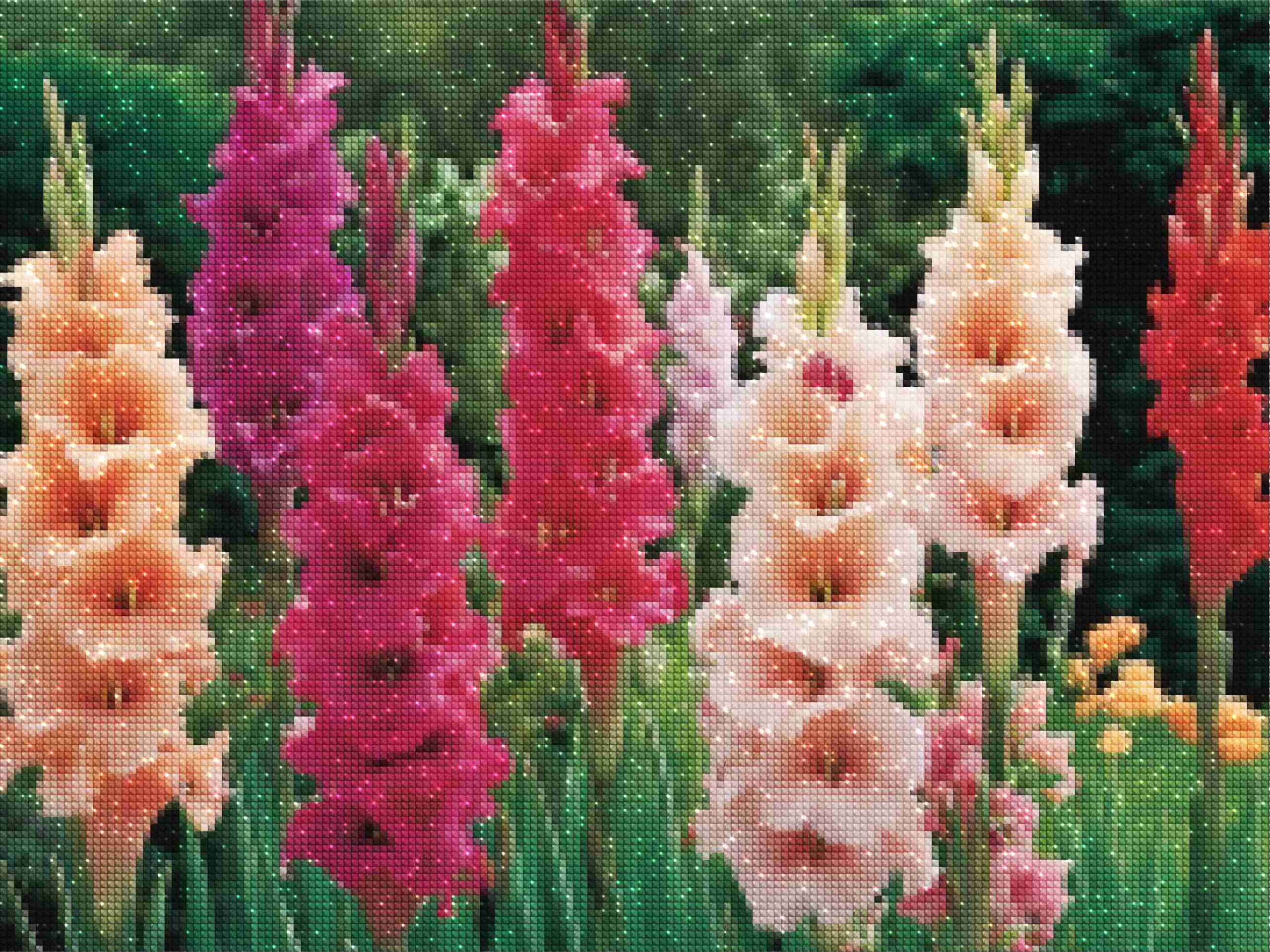 diamonds-wizard-kit-pittura-diamante-Natura-Fiore-Glorious-Gladiolus-Glory-diamonds.jpg