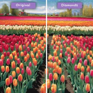 diamanter-veiviser-diamant-malesett-natur-blomster-tulipanfelt-i-blomstrer-før-etter-jpg