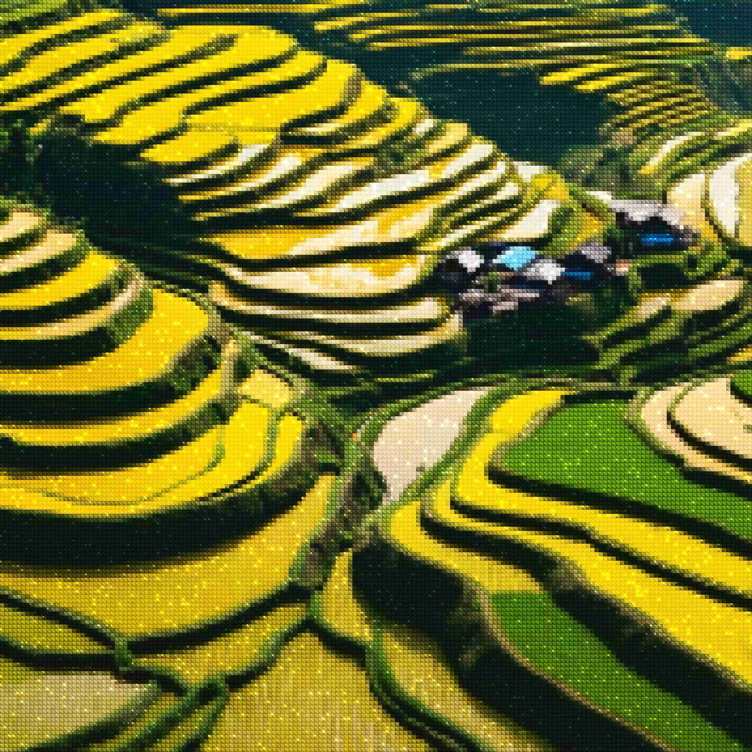 diamonds-wizard-diamond-painting-kit-Travel-Vietnam-Vietnamese-Rice-Fields-diamonds.jpg