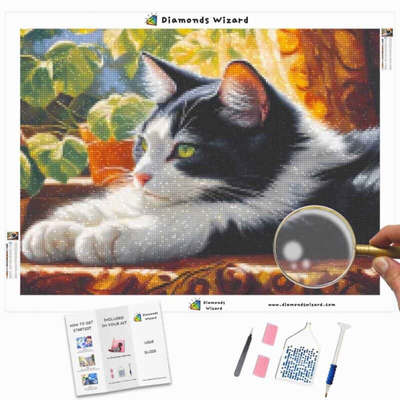 diamanter-troldmand-diamant-malesæt-dyr-kat-hyggelig-kattelur-lærred-jpg