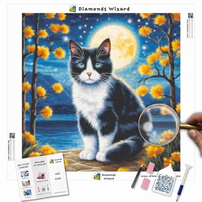 Diamondswizarddiamondpaintingkitsanimalscatmidnightstrollcanvajpg