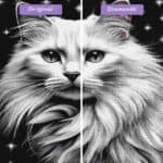 diamonds-wizard-diamond-painting-kits-animals-cat-monochromatic-magic-before-after-jpg
