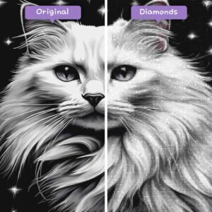 diamonds-wizard-diamond-painting-kits-animals-cat-monochromatic-magic-before-after-jpg