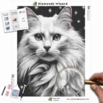 diamonds-wizard-diamond-painting-kits-animals-cat-monochromatic-magic-canva-jpg