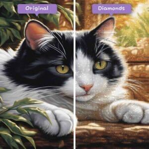 diamonds-wizard-diamond-painting-kits-animals-cat-monochrome-feline-serenity-before-after-jpg